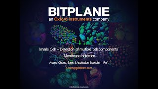 7.4 Imaris: Cell membrane detection