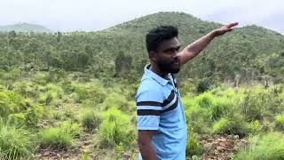 THAR 4*4 Video in Forest Mandya