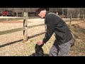 How to Train Your Duck Hunting Dog With Hand Signals | Ducks Unlimited Waterfowl Hunting Tips