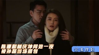 完美伴侣：陈珊离婚和林庆坤同居，孙磊当场抓包：我的女人也敢抢