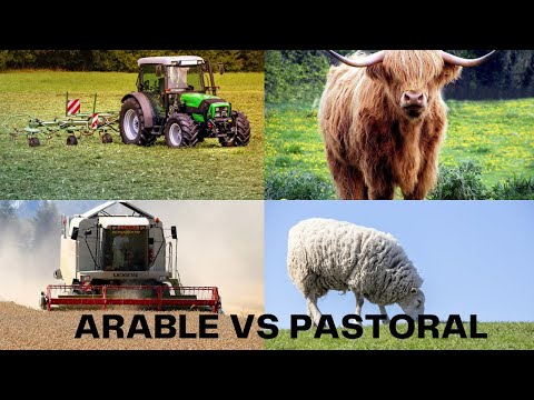 What are the advantages of arable farming?