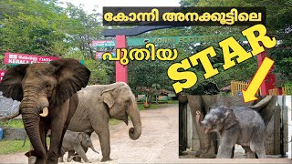 കോന്നി ആനക്കൂട്ടിലെ കുഞ്ഞൻ ||konni elephant eco tourism centre|| Travel auto by Rahul kr||