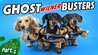 GHOSTWIENERBUSTERS Part 2 - How to Catch a Ghost Cat! 👻