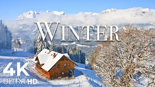 Snow Winter 4K Relaxation Film - Meditation Relaxing Music - Winter Soundscape