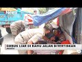 Belasan Gubuk Liar di Gambir Dibongkar Paksa Petugas Satpol PP - iNews Pagi 17/12