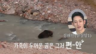 [MBC창사 다큐멘터리 곰] 곰혼자산다! 곰 읽어주는 남자 정해인과 박나래의 “사우나 편\