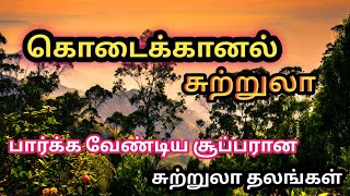 Kodaikanal tourist place/கொடைக்கானல் சுற்றுலா தலங்கள் (தமிழ்) travel research