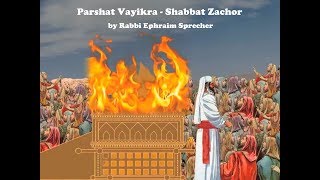 Parshat Vayikra - Shabbat Zachor - Mar 14, 2019