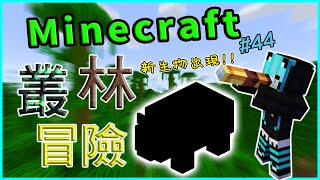 【Minecraft】1.17原味生存:第44集 叢林歷險記~熊貓我來拉~【當個創世神】