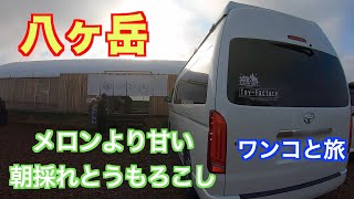 【ワンコとキャンピングカー車中泊の旅/2023夏 八ヶ岳 メロンより甘い糖度20度のとうもろこしを求めてハマラノーエンへ】