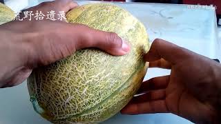 新疆一包糖哈密瓜，被遗忘的甜，Melon ， cantaloupe