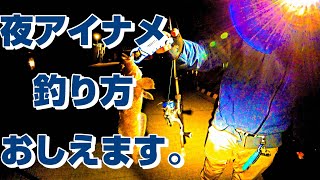 岩手　真冬の釜石はナイトゲームがおもしろい。