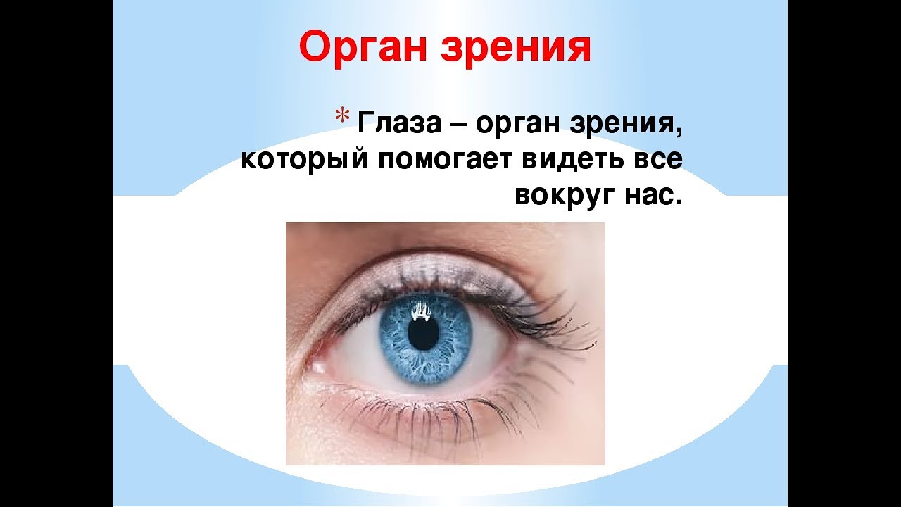 Глаза это орган чувств. Глаза орган зрения. Органы чувств глаза. Органы чувств орган зрения. Глаза орган зрения 3 класс.