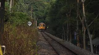 集集線鐵路濁水到龍泉綠色隧道201911