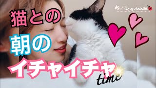 猫たちとの朝のイチャイチャtime♡