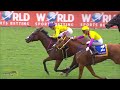 20240511 hollywoodbets greyville race 9 won by hithemhardsunshine