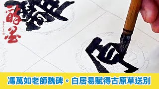 馮萬如老師魏碑示範。白居易賦得古原草送別Chinese Calligraphy 중국 서예 書道