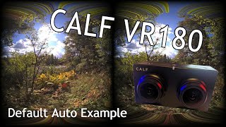 Testing CALF VR180 Camera. Handheld Nature Walk and Talk #VR180 #CalfVR