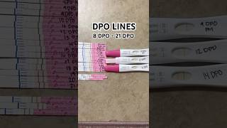 DPO lines day by day ( 8 DPO- 21 DPO )