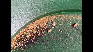 Klesh Gold Strike Paydirt - Half Gram Guaranteed