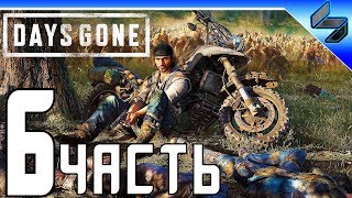 DAYS GONE (Жизнь После) Прохождение ➤ Часть 6 На Русском ➤ PS4 Pro [1080p 60FPS]