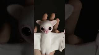 😍 Cutest Pets in the World | ആരും കൊതിക്കുന്ന വളർത്ത് മ്യഗങ്ങൾ 😱 #pets #explore #animals #viral