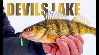 Devils Lake Perch: How to Catch More & Bigger (Ice Fishing)