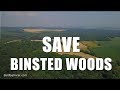 Bald Explorer: SAVE BINSTED WOODS