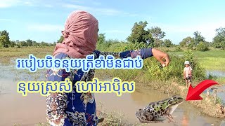 ត្រីតូចតូចណាស់វាត់មិនចង់ចូលទេ #ភូមិថ្នល់ដាច់ឃុំថ្មពួកស្រុកថ្មពួកខេត្តបន្ទាយមានជ័យ