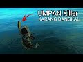 Ultralight Casting | Umpan Pinggir Pantai Terkiller | Karang Dangkal