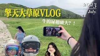 【木零VLOG#2】陽明山擎天崗一日遊！ 牛的便便真的超大...