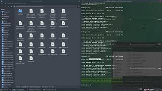 ArcoLinux : 3651 Making any Arch Linux based system  your personal OS - arcolinux-nemesis