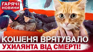 КОШЕНЯ ВРЯТУВАЛО УХИЛЯНТА від смерті у горах! Надзвичайна історія!