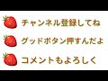 【動物】猫ちゃん･･･生後10日目･･･目が開いたよ！赤ちゃんだけに超～可愛い