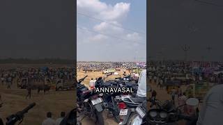 Marana mass Annavasal Jallikattu Part - 2 #shorts #viral #explore #jallikattu #annavasal #trending