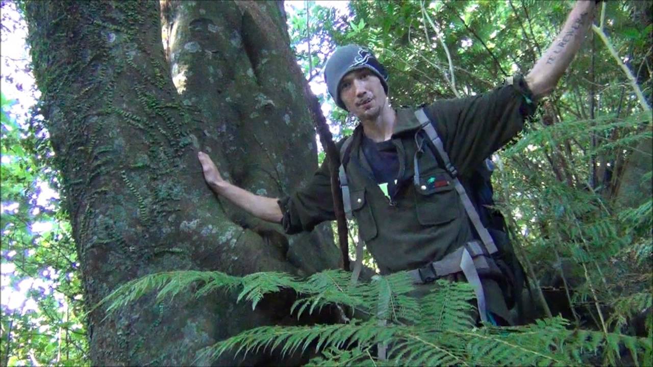 Trapping Part 1 Youtube