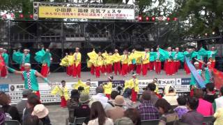 えっさホイ踊り２０１１－よさこい舞友伝１