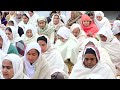 🔴 live morning diwan 17 dec 2024 dera baba rumi wala bhucho kalan bathinda