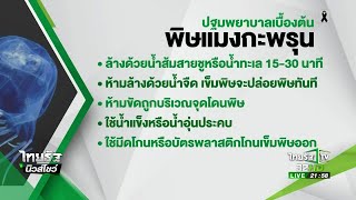 จับตาเตือนภัย เตือนนักท่องเที่ยวทะเลอ่าวไทยระวังแมงกะพรุน | 13-07-60 | ไทยรัฐนิวส์โชว์