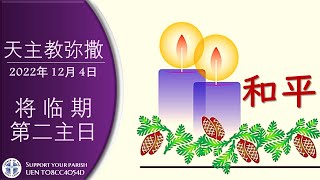 直播 将临期第二主日   萧永伦神父主祭  2022年 12月 3/4日