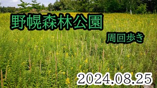 2024/08/25 野幌森林公園・外周回りの散歩・ウォーキング