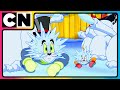 Tom and Jerry 😺🐭| The Great Quacker Hunt! | #compilation | #catandmouse | @cnindia