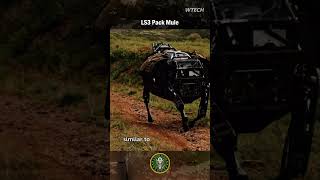 LS3 Pack Mule , US Military cargo robot