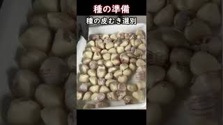 にんにく栽培ショート動画①前半ダイジェスト（土作りから種植えまで）