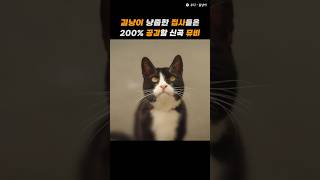 #길냥이 냥줍 집사들 200% 공감하는 신곡 뮤비 #Shorts