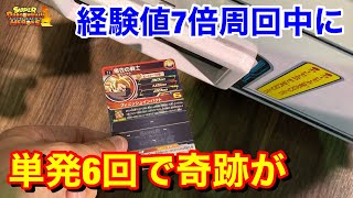 【SDBH】これ弱い？単発6回でURポロった！まさかの1番高い黒衣の戦士だと！【スーパードラゴンボールヒーローズ　ビッグバンミッション】