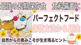 【最強の食料備蓄・非常食】　超長期保存がきく蜂蜜が優秀すぎる