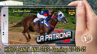 LA PATRONA-Gran Clasico Central- Hipico Santa Ana Ctes- 23-02-25