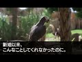 【修羅場】5年間レスの妻が離婚届けを突きつけてきた。その願いを俺が喜んで受け入れた結果…