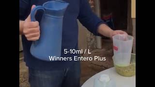 How to use Winners Entero Plus?